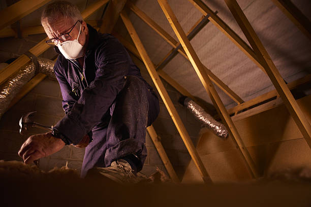 Best Specialty Insulation in La Verne, CA