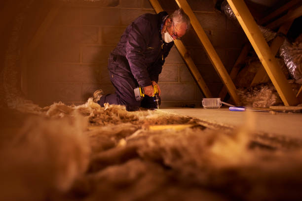 Best Commercial Insulation in La Verne, CA